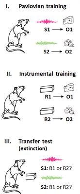 Expected Value of Control and the Motivational Control of Habitual Action